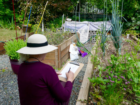 Plein Air at Marilyn's