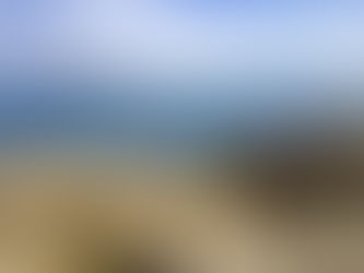 Summer Plein Air 2019...