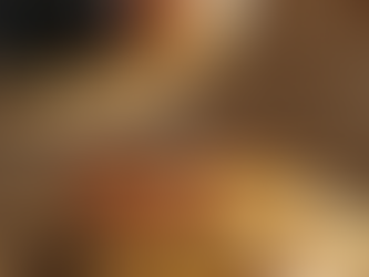 📢 El boom del pan burger en España: una moda que no deja de crecer 🍔