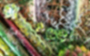 12th pic-min.JPEG