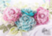 10 pic and banner image-min.JPEG