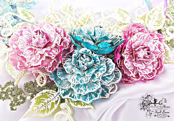 10 pic and banner image-min.JPEG