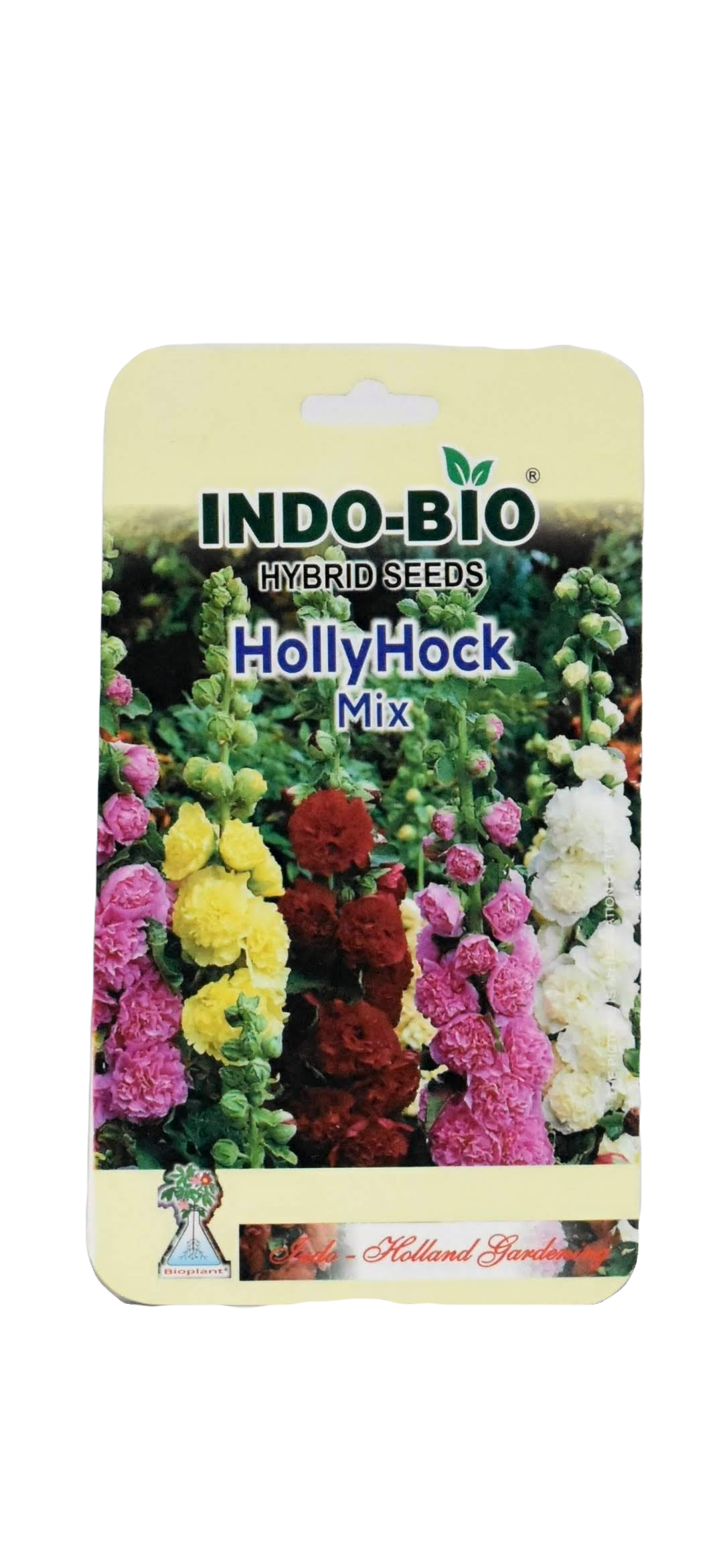 Hollyhock mix