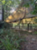 woodland camp