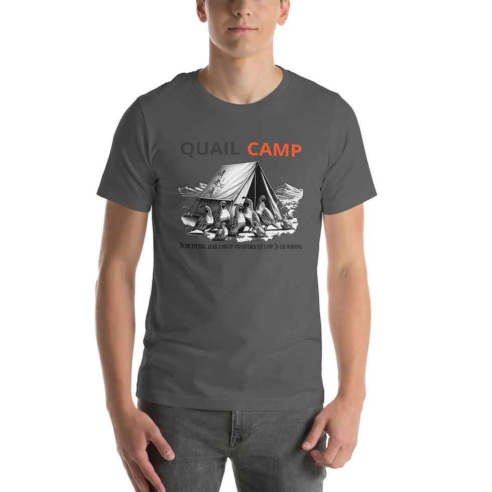 Thumbnail: QUAILCAMP - Unisex t-shirt