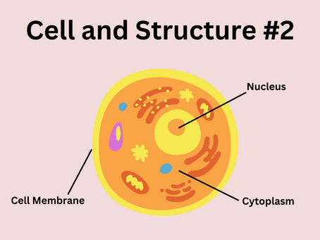 Cell and Structure