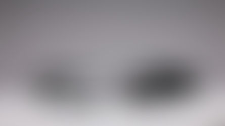 GCD｜大众辉腾（银/黑）