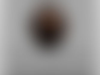 The Federalist Papers: No. 82