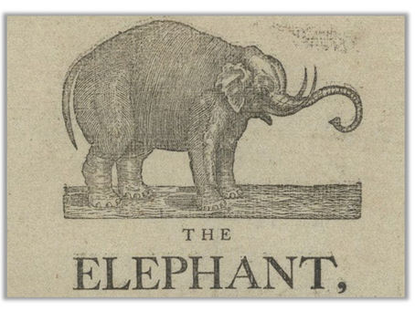This Day in History: Old Bet, First Circus Elephant