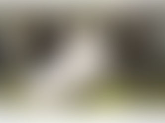 This Day in History: John Quincy Adams passes away