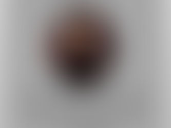 The Federalist Papers: No. 20