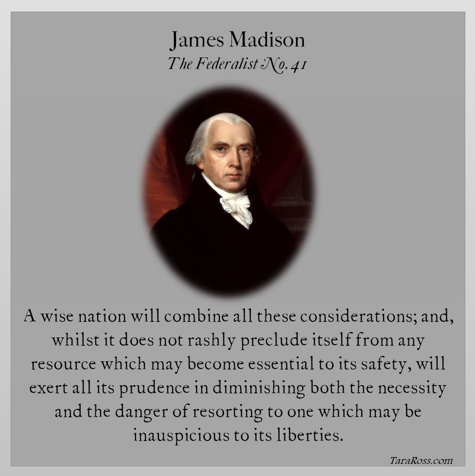 Federalist 41 summary image