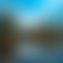 Calming the Nervous System: The Havening Technique (From a Virtual Anxiety Therapist in California)