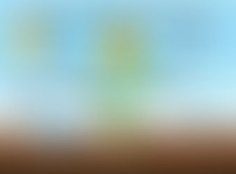 Leaving Cert Biology Revision: Photosynthesis