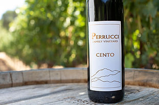 Bottle of exclusive Wine Club Blend called Cento