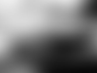 「WHY?なんで私は写真を撮るの?」