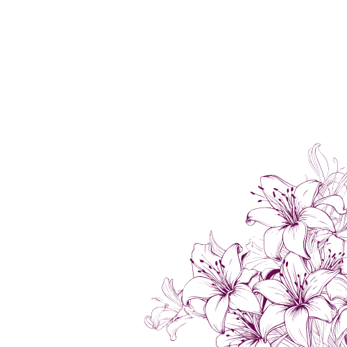 AN website logo (2).png