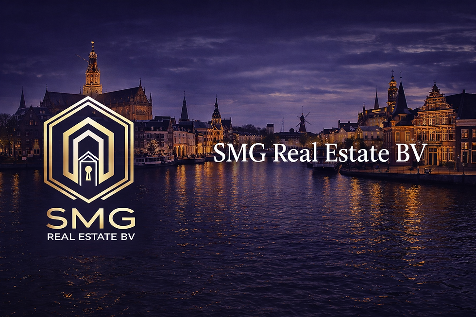 SMG REAL ESTATE BANNER HAARLEM.png