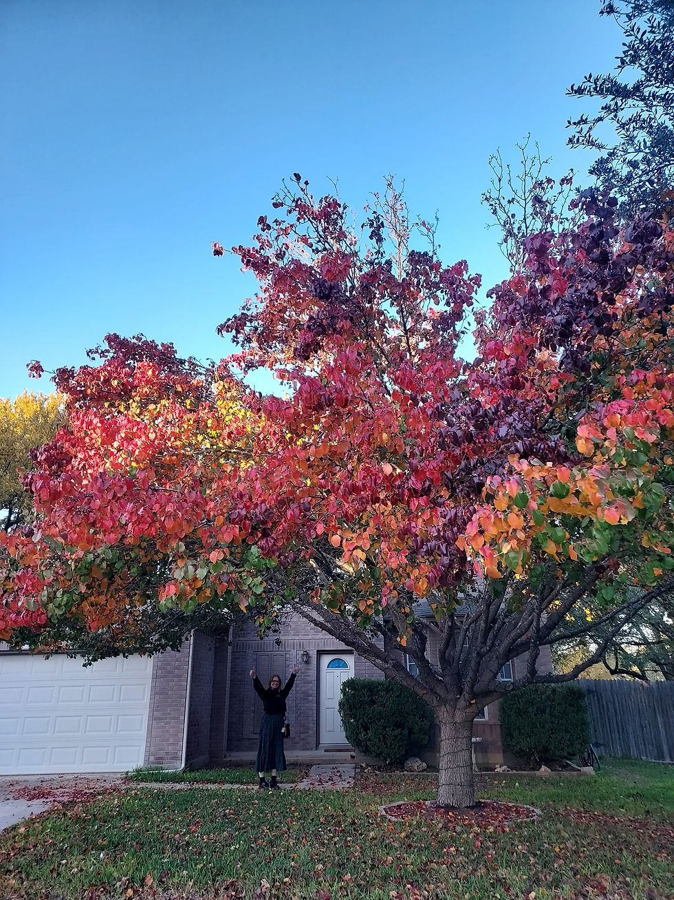 Sister Roberts - 12/5/2022