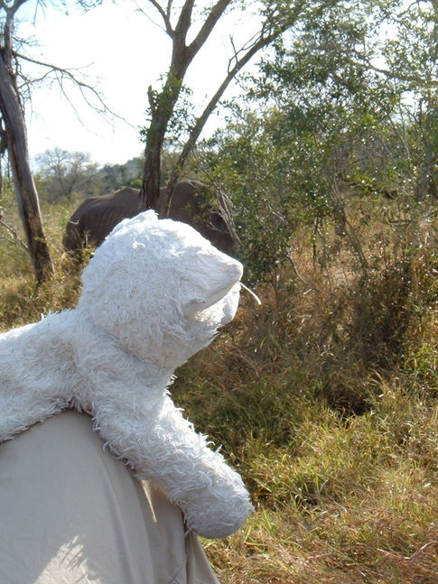 44B8B6A6-BCB9-4FB7-BCB2-60A628755762