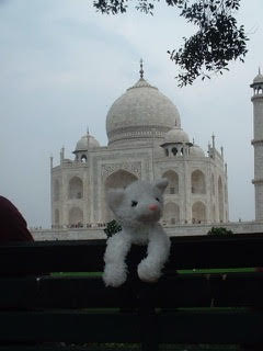 AD_4nXdCZi-PN55x0UA7x5mOXR3HsTNF6v_wbXi1Cz-c2kN8KyiDUS2jtXzKLzmuRI3Cm6IA14slv9nMOje5h-vDybppyqqXGYBUz4Bzz4xVWMuU2YSy4JbTSAtPXnp3irCAYk3fp4Tf