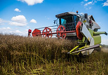 Agriculteurs Pré comptabilité, classement, rapprochement bancaire, archivage