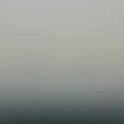 Microbiome in Asthma Induced by Environmental Particle Exposure