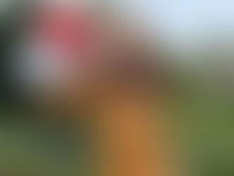 Desa, ilkbahar/yaz ’25 reklam kampanyasını yayınladı