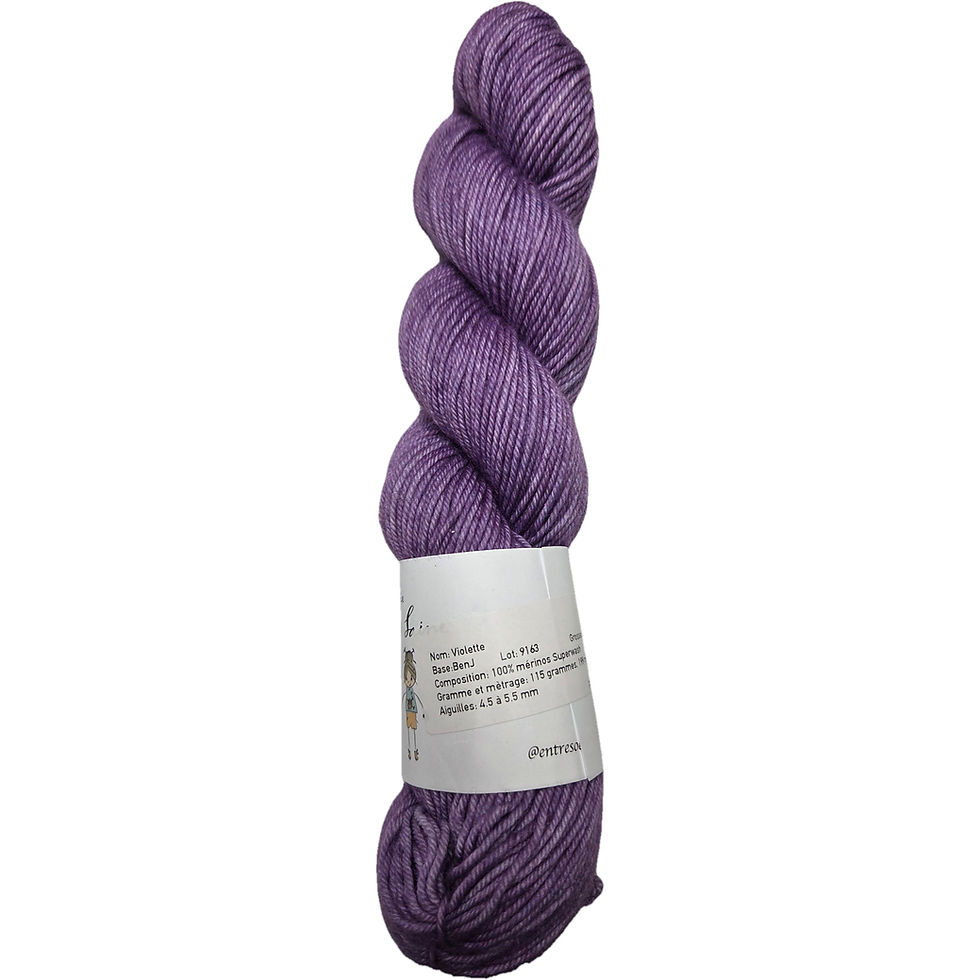 echeveau de laine ENTRE SOEURS ET LAINE WORSTED BENJ VIOLETTE