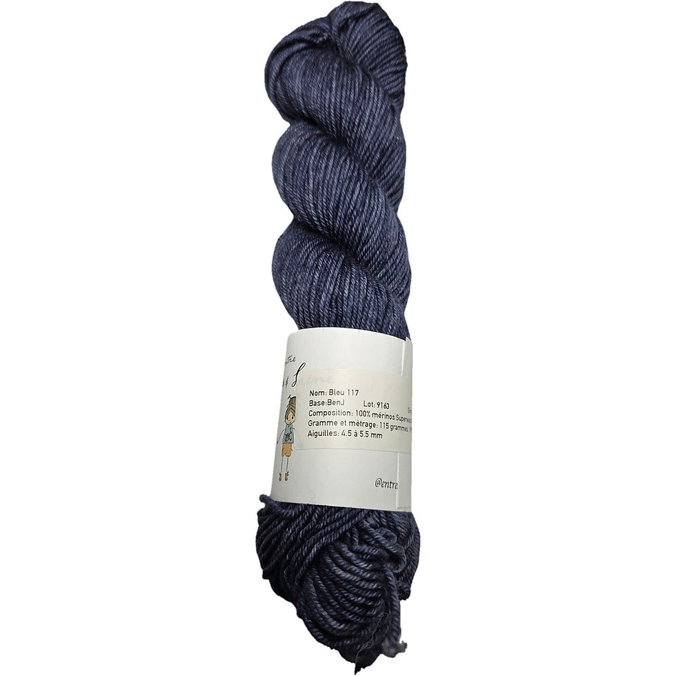 echeveau de laine ENTRE SOEURS ET LAINE WORSTED BENJ bleu 117