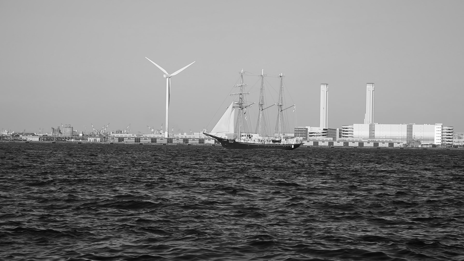 1J7A0617bw