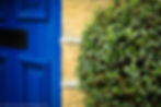 A blue front door with clipped shrub