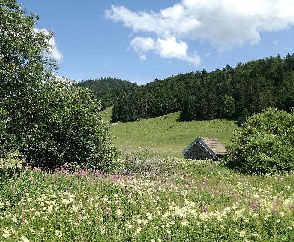 Vers Mijoux (2)