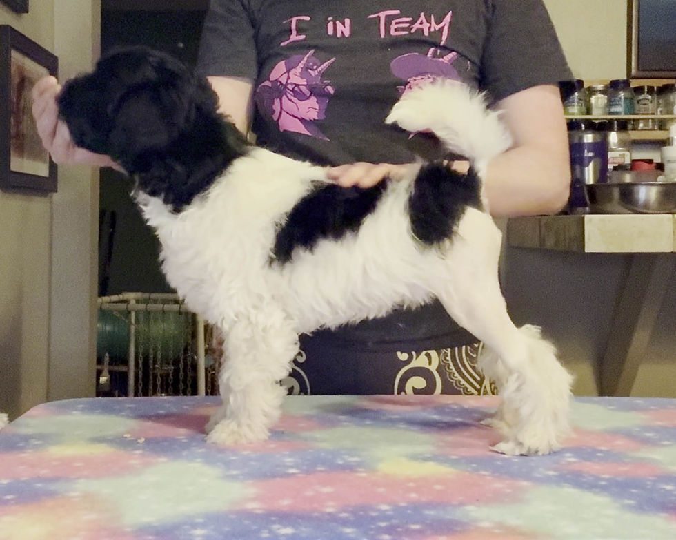 Yuki1