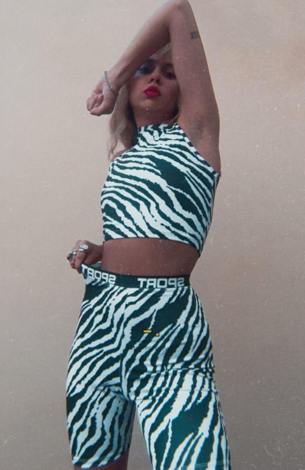 Top Dire Halter zebra.