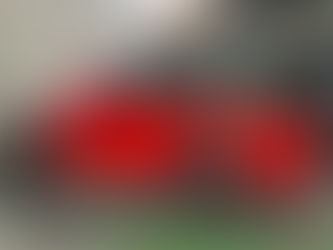 ロータス・エリーゼ　赤