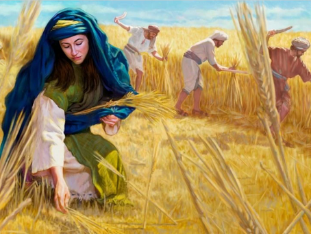 El Libro de Rut: Lealtad, Redención y Esperanza en Medio del Dolor.