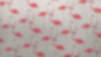 Picture 4jpg.jpg