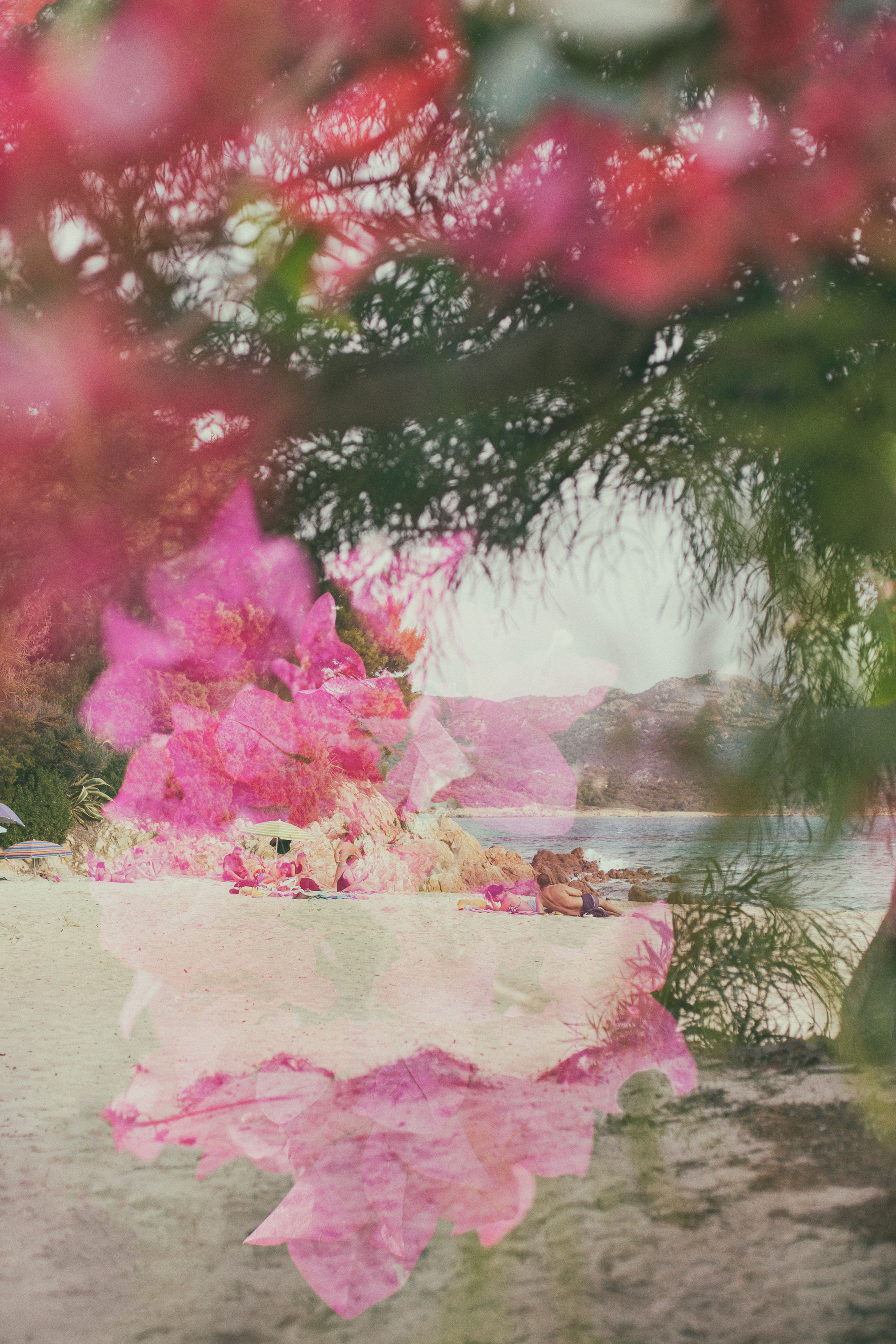 Pink Summer Dream BY ZUZANA 'MAZU' H.M.