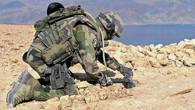 La Meilleure Façon De Marcher Armée Une parabole pour comprendre l'intelligence artificielle