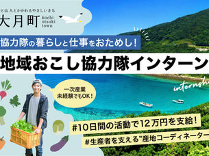 【令和7年度】高知県大月町地域おこし協力隊インターン委託業務