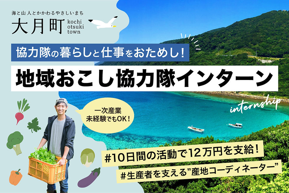 【令和7年度】高知県大月町地域おこし協力隊インターン委託業務