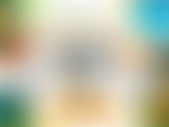 【令和7年度】高知県大月町地域おこし協力隊募集等事業委託業務