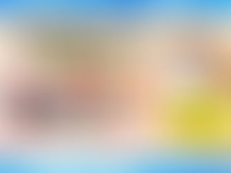 【令和7年度】高知県大川村地域おこし協力隊募集等に係る委託業務