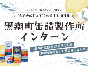 【令和7年度】高知県黒潮町地域おこし協力隊インターン委託業務