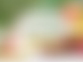 【令和7年度】高知県宿毛市地域おこし協力隊説明会業務委託