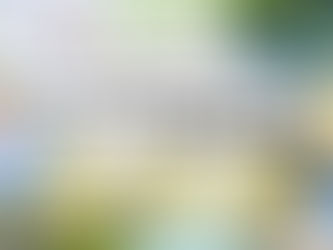 【令和7年度】高知県はたまるパートナーズ医療人材確保・インターン受入支援業務