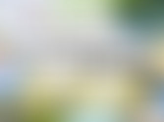 【令和7年度】高知県はたまるパートナーズ医療人材確保・インターン受入支援業務