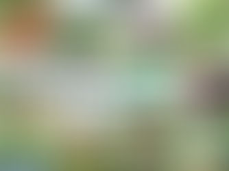 【令和7年度】高知県地域おこし協力隊(高知県農業推進員)募集活動等委託業務