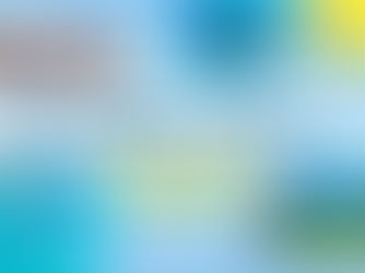 【令和7年度】高知県大月町おためし地域おこし協力隊委託業務